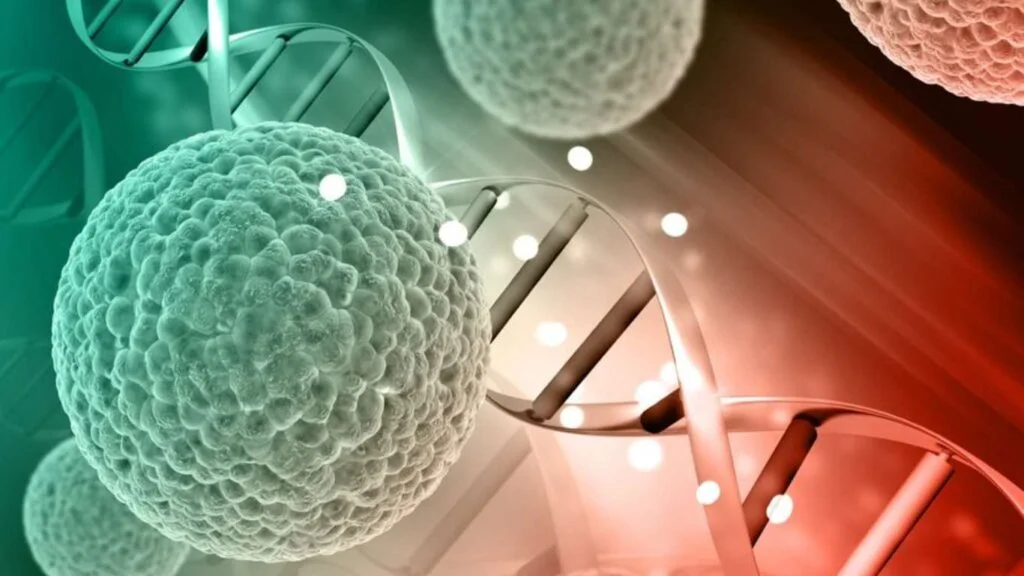 Cancer Mutations Causes of cancer mutations cancer mutation types